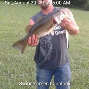 Meet your Posher, Archie